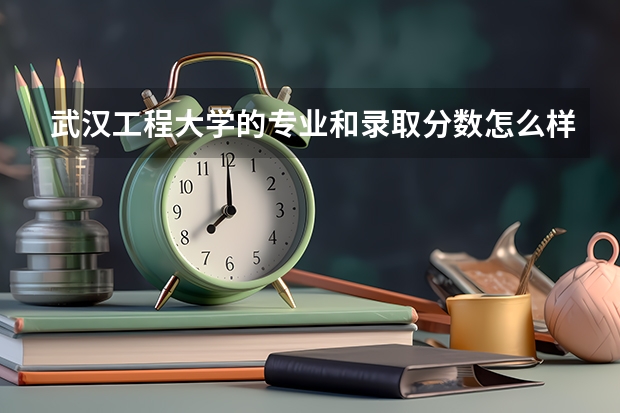 武汉工程大学的专业和录取分数怎么样