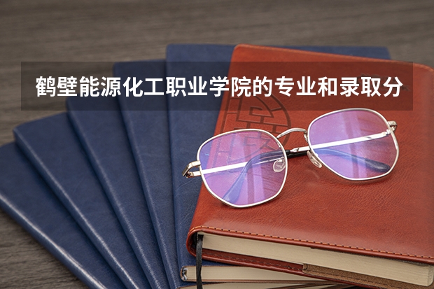 鹤壁能源化工职业学院的专业和录取分数怎么样