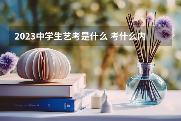 2023中学生艺考是什么 考什么内容