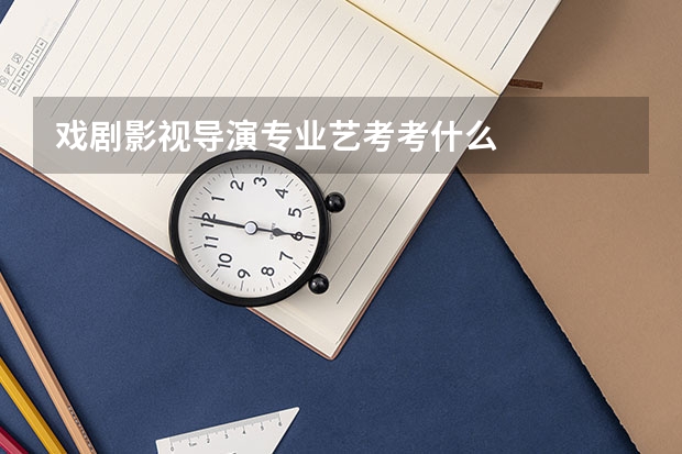 戏剧影视导演专业艺考考什么