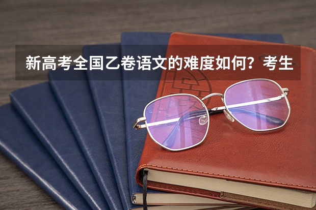 新高考全国乙卷语文的难度如何？考生们考完后是如何估分的？