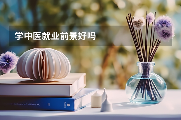 学中医就业前景好吗