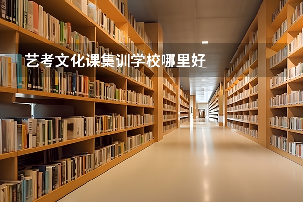 艺考文化课集训学校哪里好