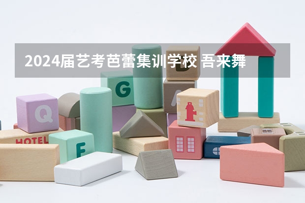 2024届艺考芭蕾集训学校 吾来舞往艺考集训收费标准