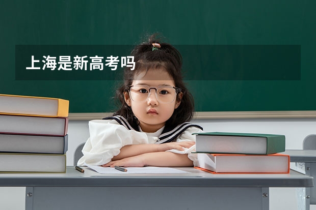 上海是新高考吗