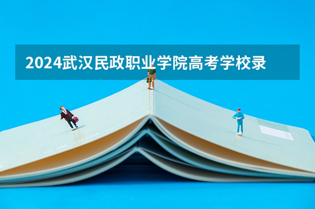 2024武汉民政职业学院高考学校录取分数线是多少？
