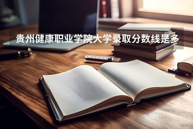 贵州健康职业学院大学录取分数线是多少？