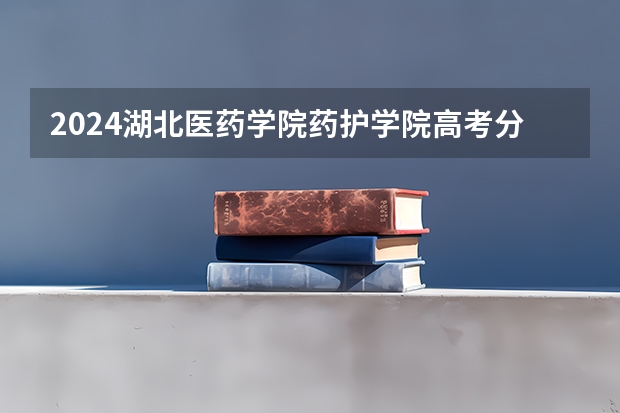 2024湖北医药学院药护学院高考分数如何计算