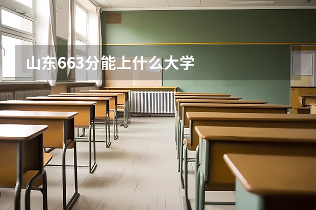 山东663分能上什么大学