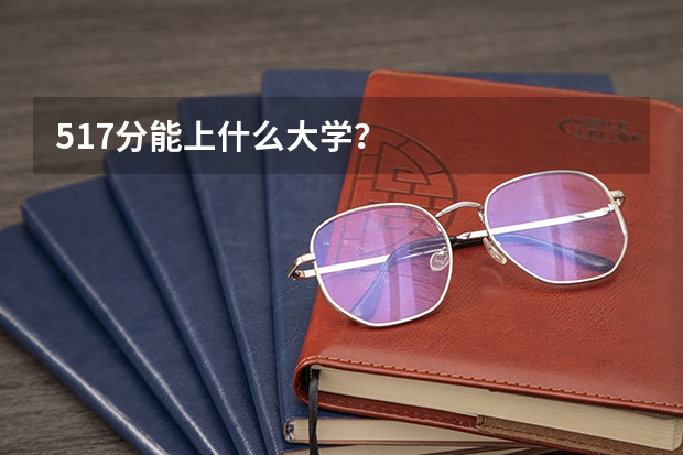 517分能上什么大学？