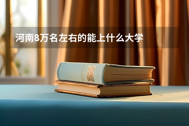河南8万名左右的能上什么大学