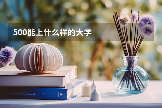 500能上什么样的大学