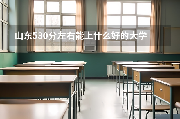 山东530分左右能上什么好的大学