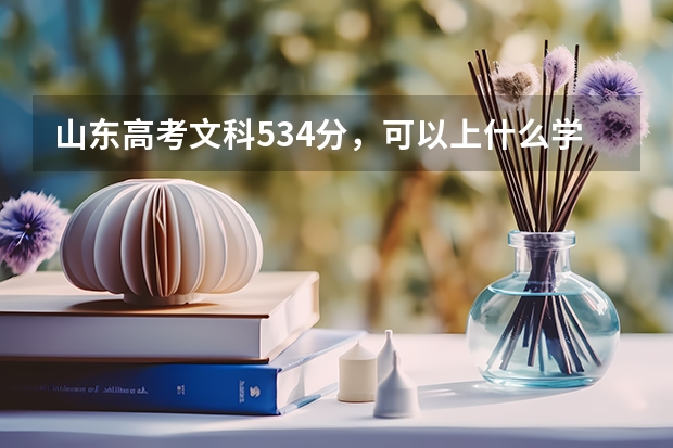 山东高考文科534分，可以上什么学校啊