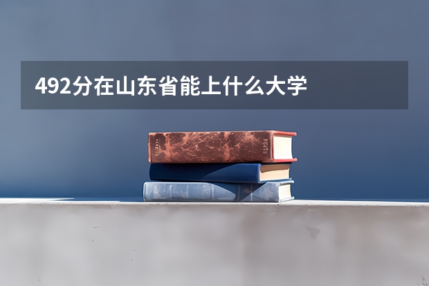 492分在山东省能上什么大学