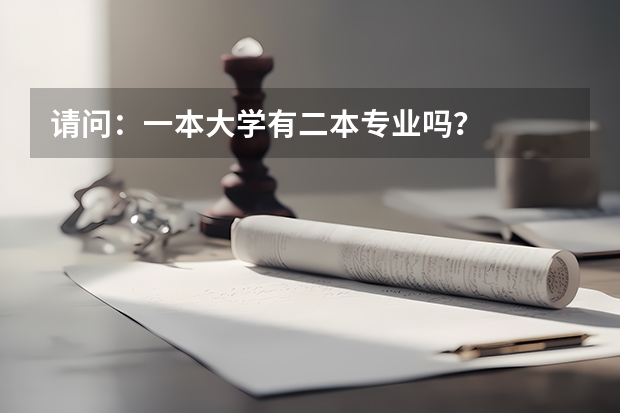 请问：一本大学有二本专业吗？