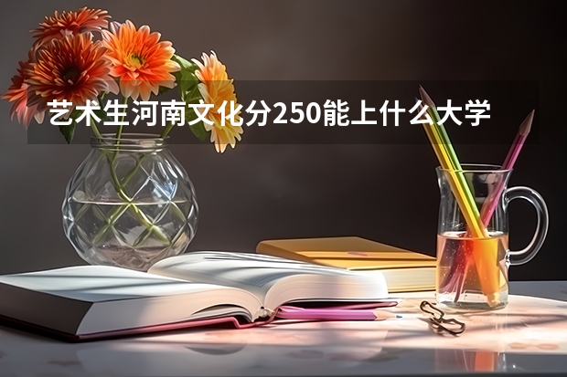 艺术生河南文化分250能上什么大学