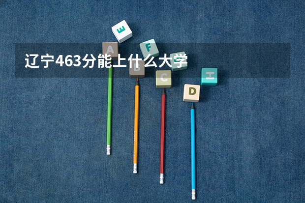 辽宁463分能上什么大学