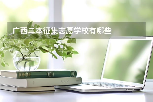 广西二本征集志愿学校有哪些