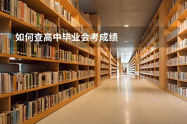 如何查高中毕业会考成绩
