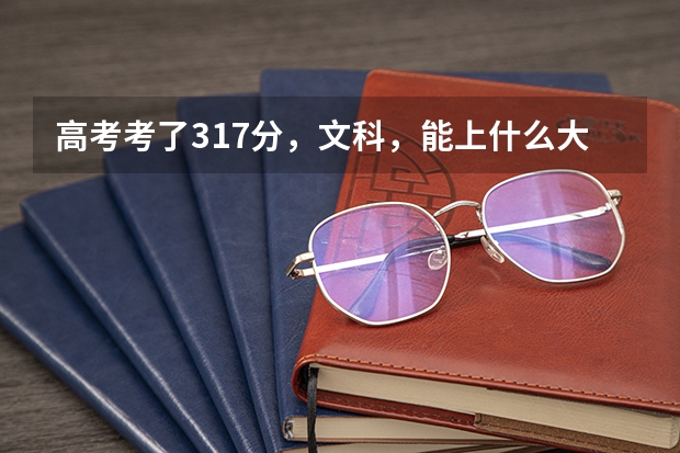 高考考了317分，文科，能上什么大学？