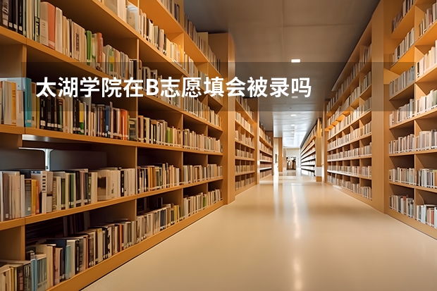 太湖学院在B志愿填会被录吗