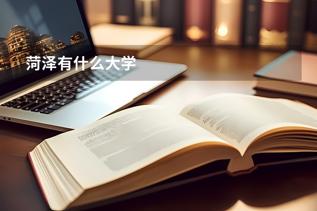 菏泽有什么大学