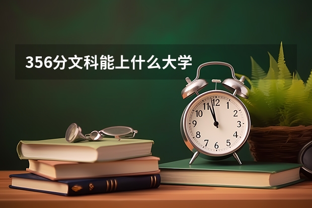 356分文科能上什么大学