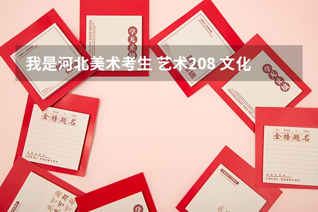我是河北美术考生 艺术208 文化200能上什么学校?