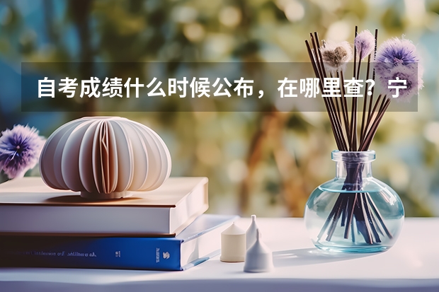 自考成绩什么时候公布，在哪里查？宁夏大专自考成绩查询？