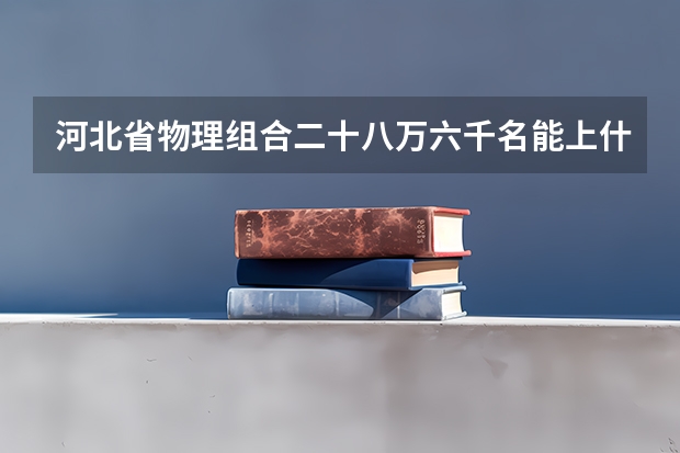 河北省物理组合二十八万六千名能上什么学校