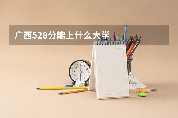 广西528分能上什么大学
