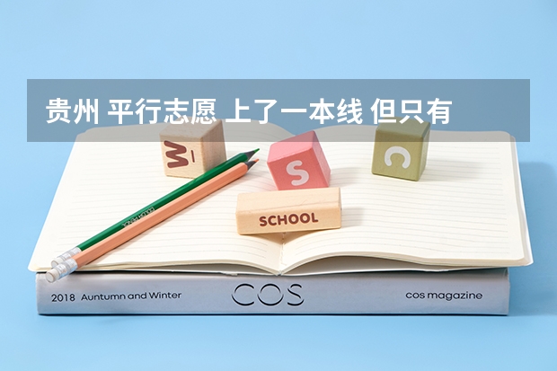 贵州 平行志愿 上了一本线 但只有一本实行平行志愿 我想报一两个二本学校 可以一本二本混报吗？