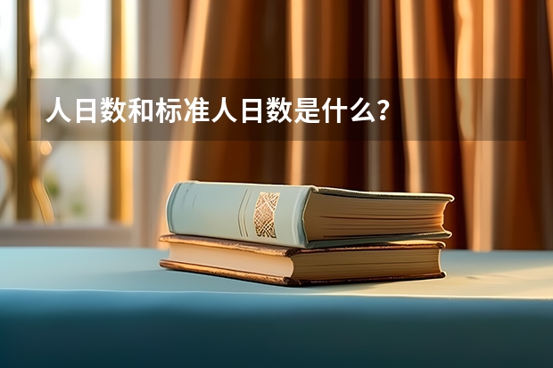 人日数和标准人日数是什么？