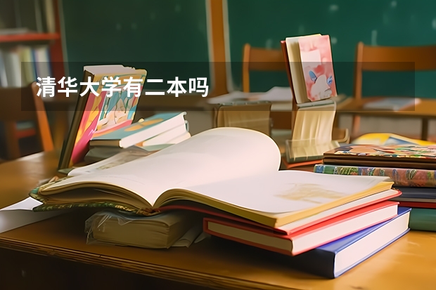 清华大学有二本吗