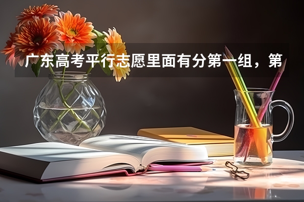 广东高考平行志愿里面有分第一组，第二组，那是什么回事