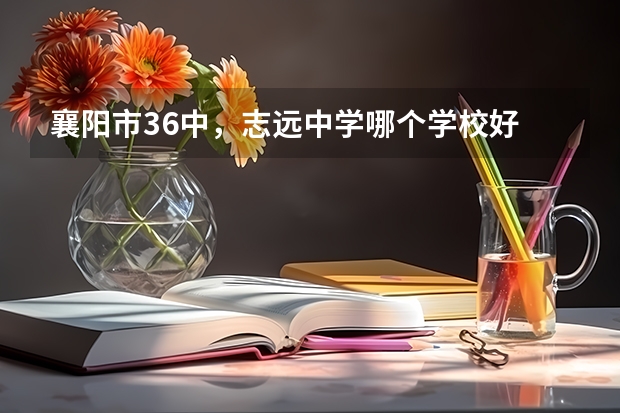 襄阳市36中，志远中学哪个学校好