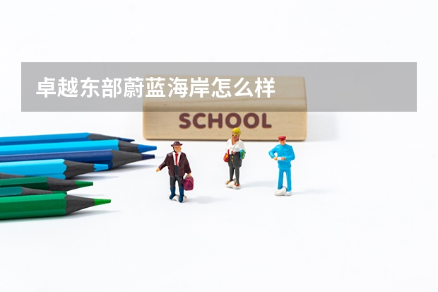 卓越东部蔚蓝海岸怎么样