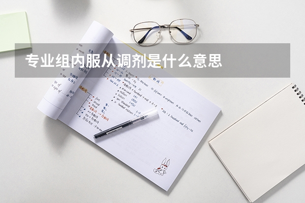 专业组内服从调剂是什么意思