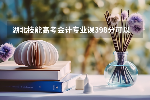 湖北技能高考会计专业课398分可以进什么学校