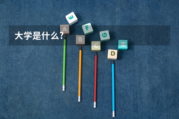 大学是什么?