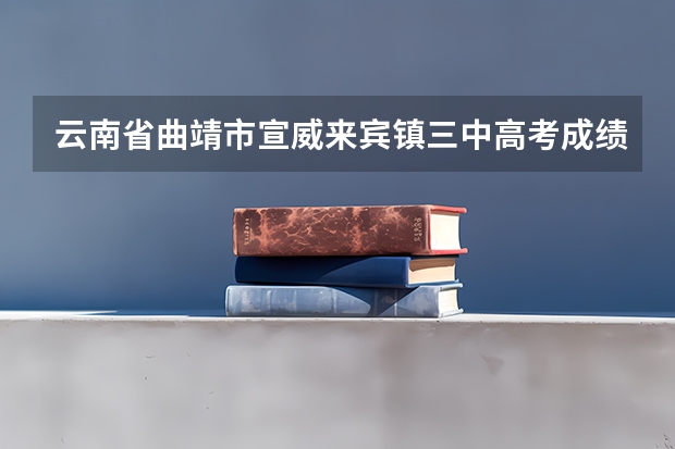 云南省曲靖市宣威来宾镇三中高考成绩王正翔成绩分数（曲靖经济技术开发区第一中学高考成绩）