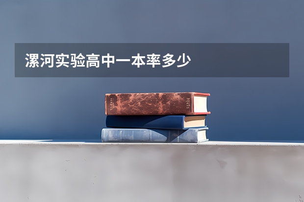 漯河实验高中一本率多少