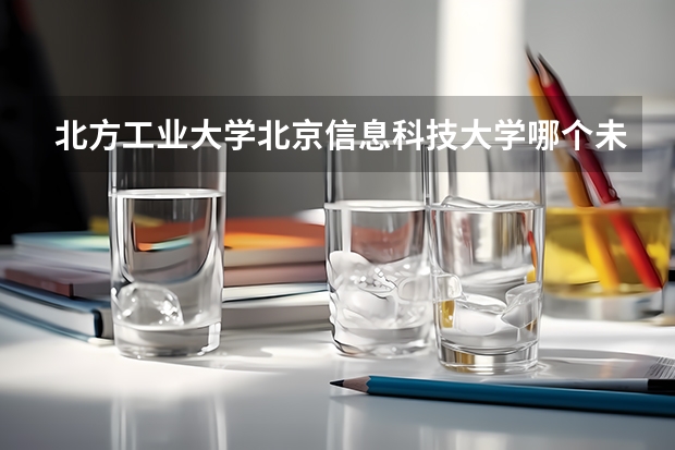 北方工业大学北京信息科技大学哪个未来发展好