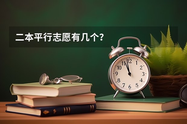 二本平行志愿有几个？