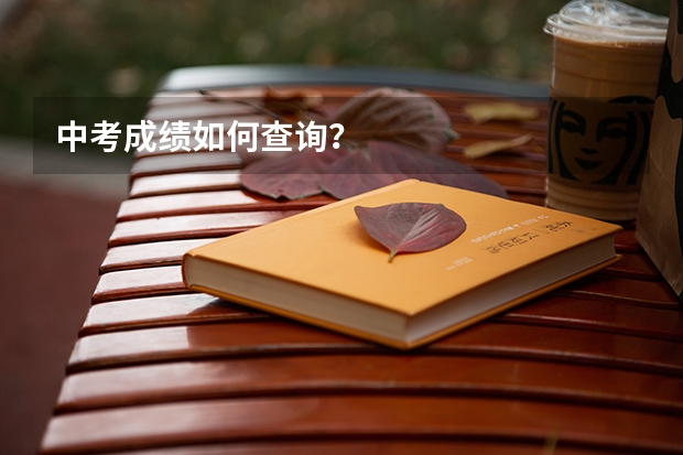 中考成绩如何查询?