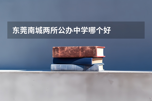 东莞南城两所公办中学哪个好