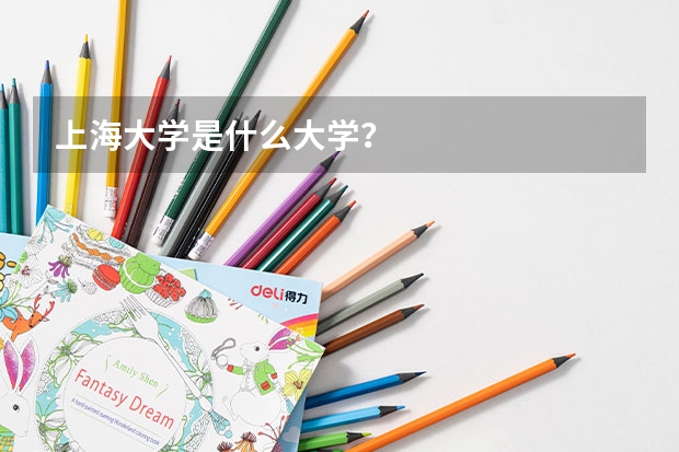 上海大学是什么大学？