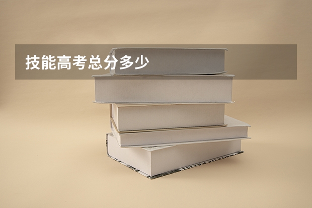 技能高考总分多少