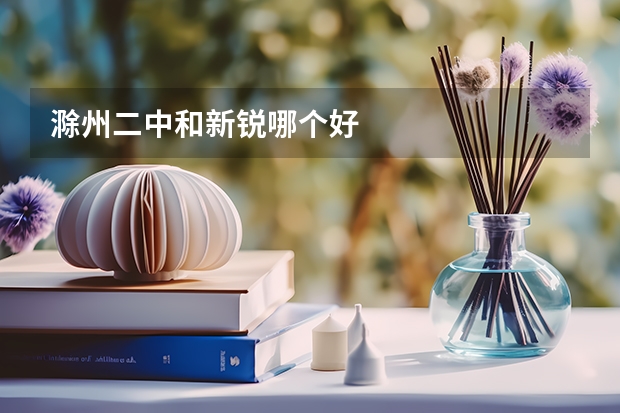 滁州二中和新锐哪个好